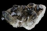 Dark Smoky Quartz Crystal Cluster - Brazil #124593-1